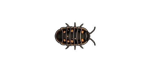 Hatchling stage
